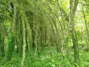 Img 20250515 wa0052