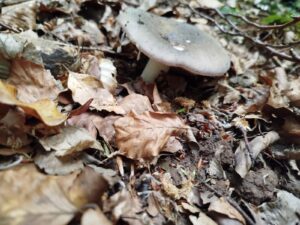 Img 20250515 wa0054