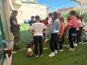 Img 20250605 wa0045