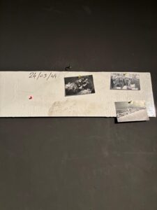 IMG 20260325 WA0026